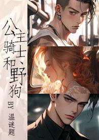 关于公主和骑士的