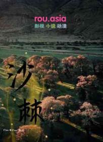 沙棘果油的功效和作用