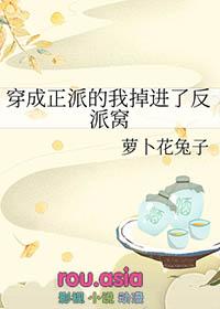 穿成正派的我掉进了反派窝txt百度
