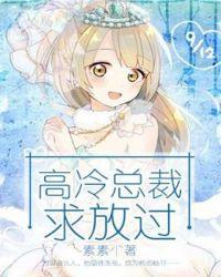 高冷总裁缠上门免费阅读