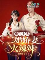 重生七零二婚妻