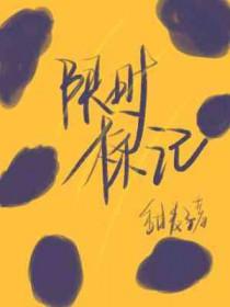 限时标记by甜麦子最新章节更新时间