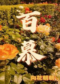 百慕大岛上大范围停电