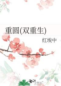 重圆(双重生)作者谢朝朝