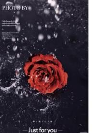 玫瑰花保养手册(恋与深空 祁煜同人) 爱做饭的小鱿鱼