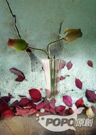 代孕为什么违法