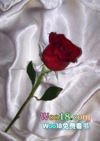 和联姻对象做炮友免费阅读