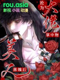 美人落魄后沦为大佬掌中物青橘汽水讲的什么