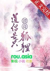 道侣是个心机boy格格党