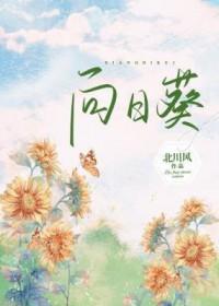 向日葵远控助力设计师高效工作