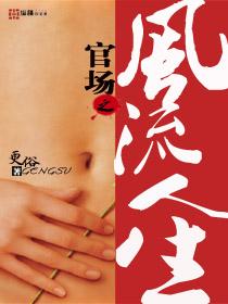 电子官场之风流人生