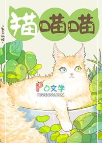 捡到流浪猫该怎么处理