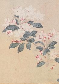 春色强取豪夺简介