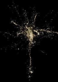 君子无咎是什么意思