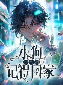 捡小狗回家吉利吗