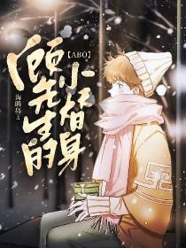 顾先生的小奶包免费阅读