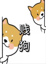 贱狗是什么意思是什么
