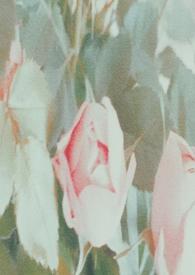 谁来拯救我是什么意思