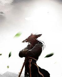 第一向导(NPH)startide