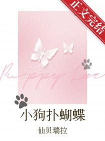 小狗追蝴蝶形容词扩句