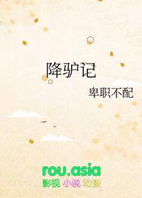 降驴记gl