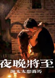 夜晚将至免费阅读