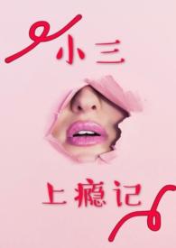 小三上瘾记笔趣阁全文阅读