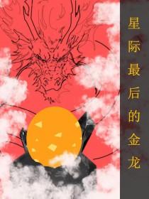 全星际最后的金龙讲的什么
