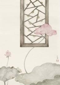 愿我如星君如月之顶峰相见