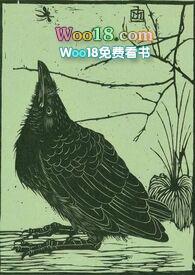 空壳公司会不会坐牢