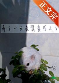 仓鼠变成人的