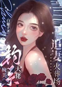 疯美钓系大佬追妻火葬场结局