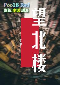 望北楼刘生是什么人物