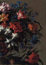 岂不尔思远莫致之翻译