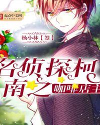 名侦探柯南之咖啡店主 杨小林