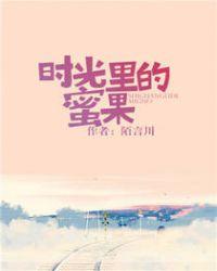 时光里的蜜果纸版番外