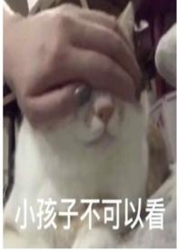 圈养蔷薇(纯百gl)