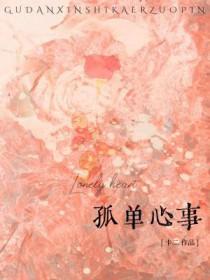 孤单心事歌词