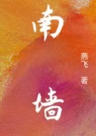 南墙已撞全文阅读