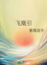 飞凰引紫微流年TXT