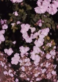 3.西沉寂静地 (校园 )