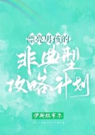 漂亮男孩非典型攻略计划全文