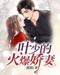 叶少宠妻如命免费阅读