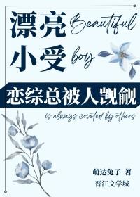 小受长得很漂亮的现代文