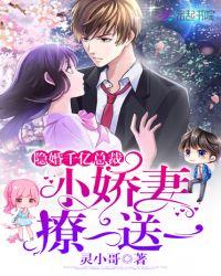 隐婚甜妻总裁宠上瘾