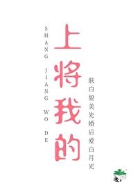 上将我的情人图书分类号