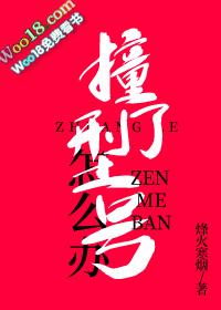 撞了型号怎么办免费阅读