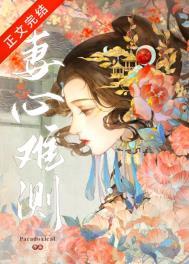 妻心试刀在线阅读