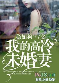 我的高冷总裁未婚妻叶凡