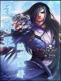 至尊王婿演员表介绍